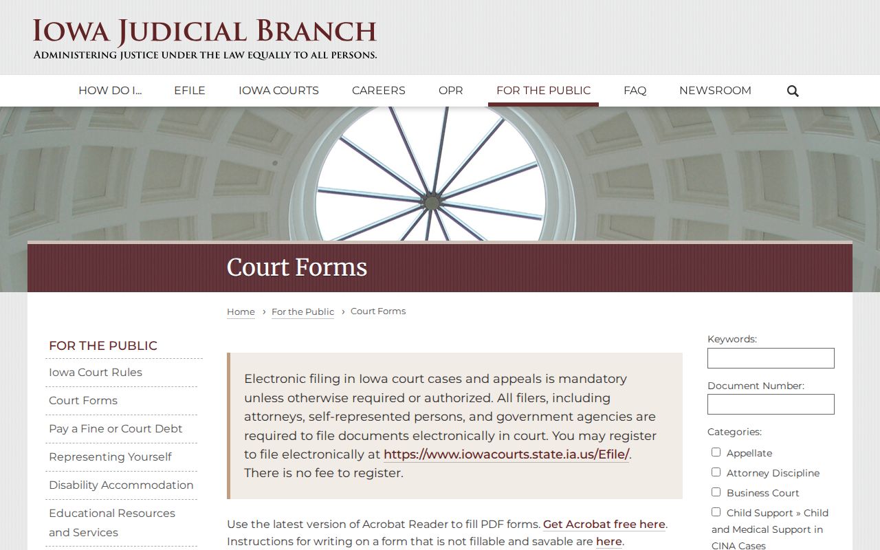 Iowa criminal court cases official forms library